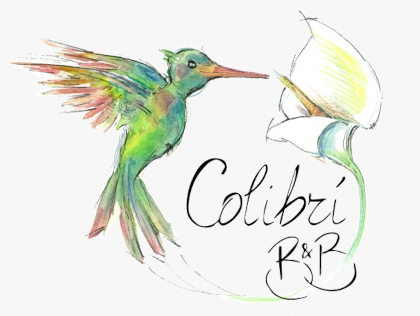 Colibri B&B Шака Екстериор снимка